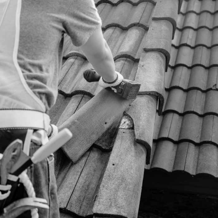 Projekt bez nazwy (33)